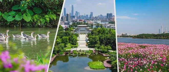 大境(中海大境)网站售楼中心欢迎您ag真人平台第一游戏2024中海(图9)