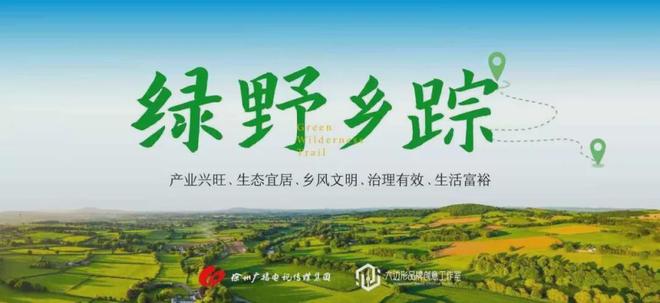 乡踪｜白天攀云塔 夜宿石头记AG真人百家家乐APP绿野(图2)